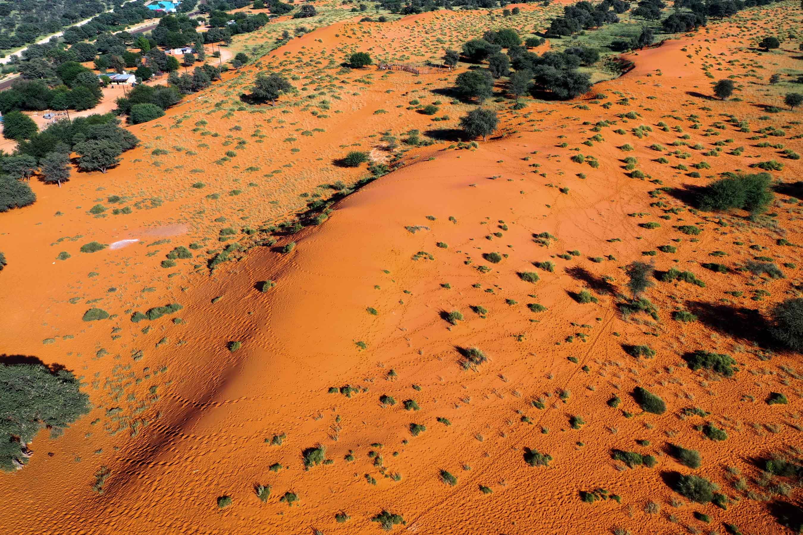 Kalahari Desert Botswana Tourism Organisation   KTP (16) 1 