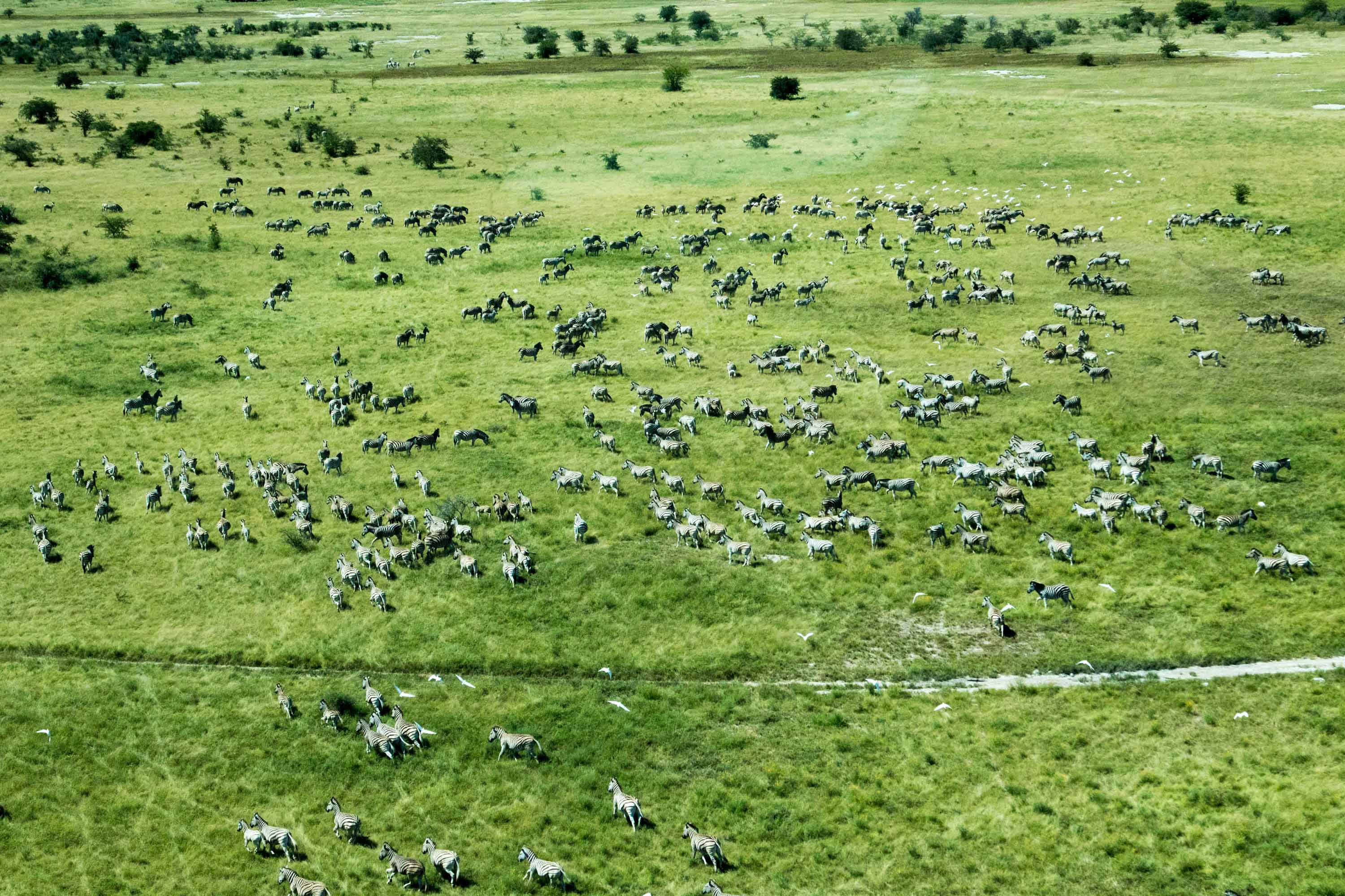 Makgadikgadi Pans Game Reserve | Botswana Tourism Organisation