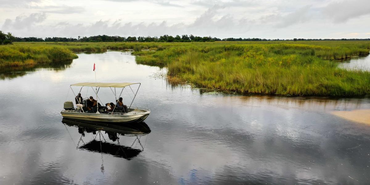 Moremi Game Reserve | Botswana Tourism Organisation